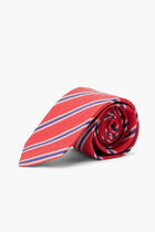 Dual Colored Striped Tie