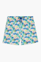 Urchins And Fishes Moohina Shorts