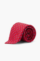 Vibrant Polka Dot Tie