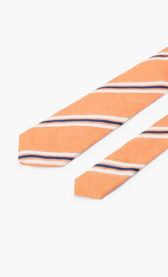 Vibrant Dual Striped Tie