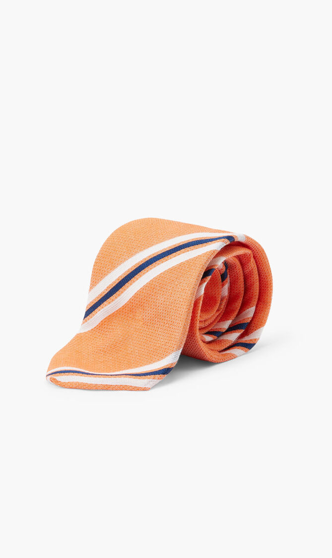 Vibrant Dual Striped Tie