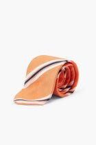 Vibrant Dual Striped Tie