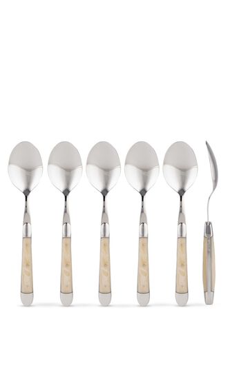 Set of 6 - Acrylic Handle Soup Spoons