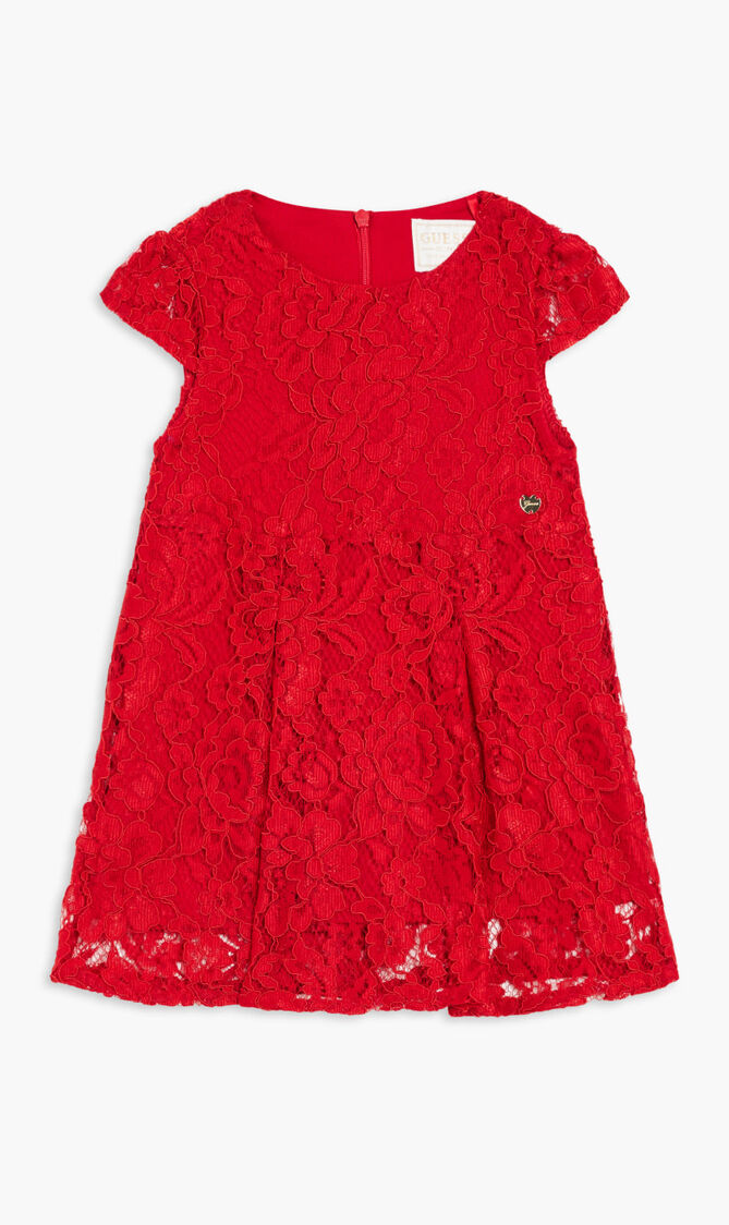 Half Sleeve Lace Dress