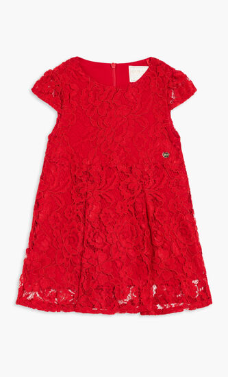 Half Sleeve Lace Dress