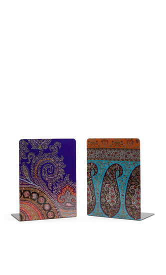 Voyage Au Rajasthan Metal Bookend