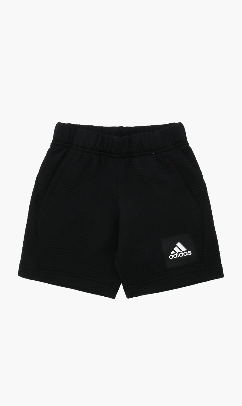 

H10221 Shorts, Black