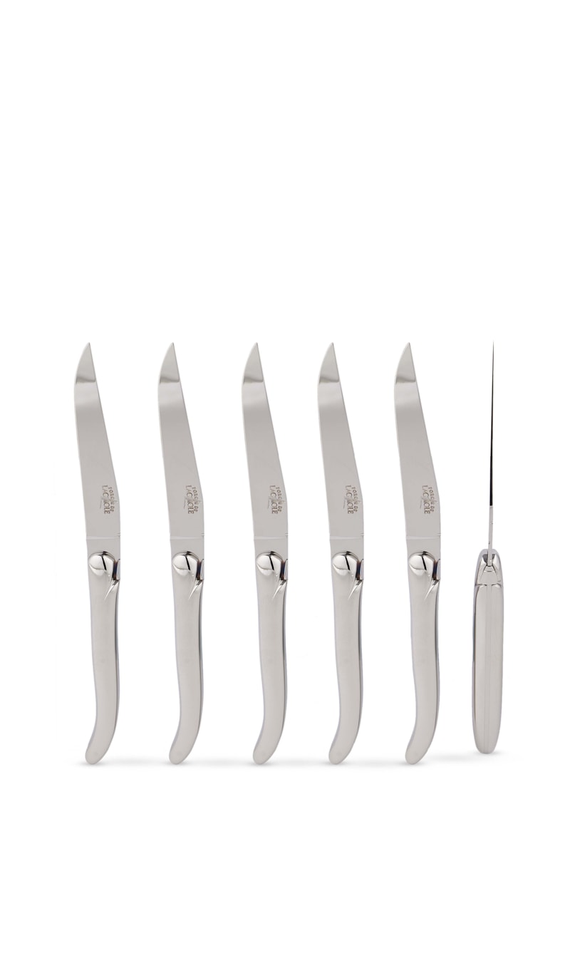 

Forge De Laguiole Silver Set Of 6 - Philippe Starck Stainless Steel Table Knives | The Deal Outlet