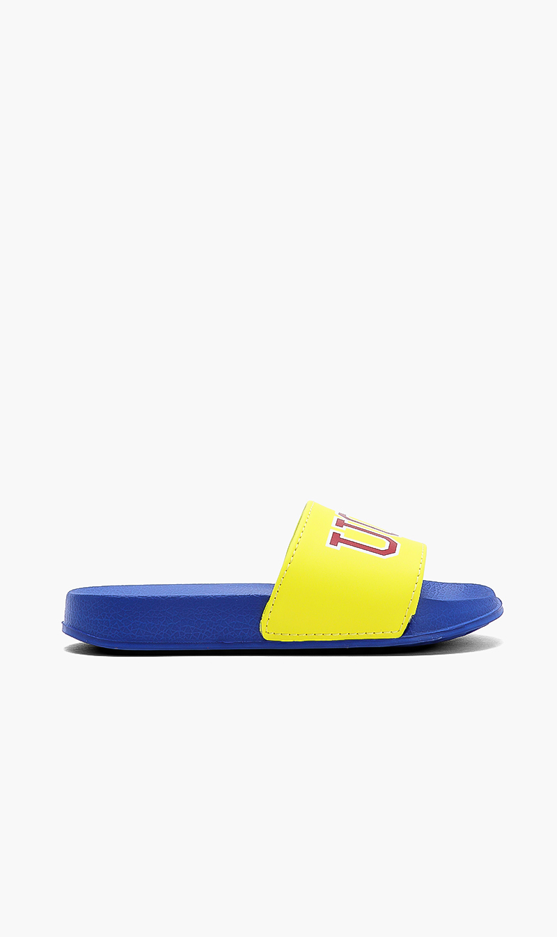 

Mack College Slides, Blue