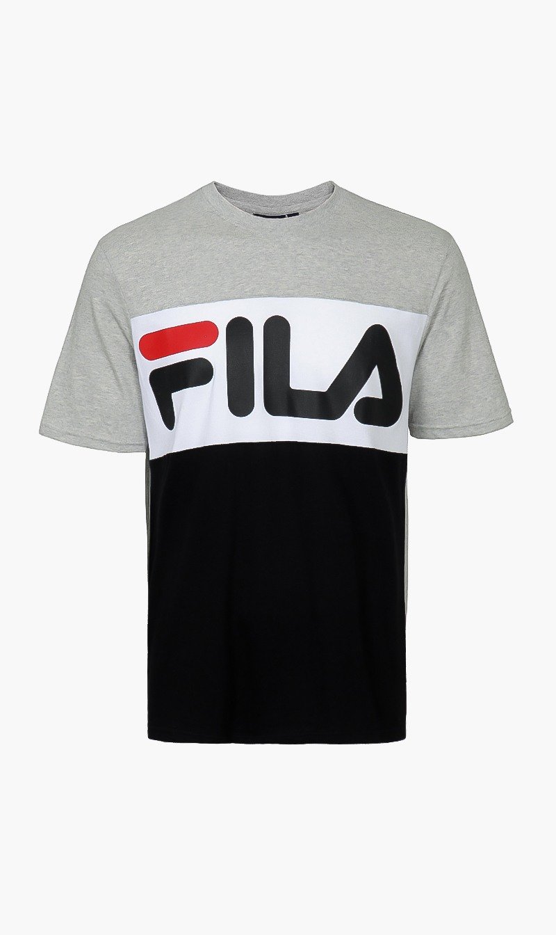 

Fila Grey Anwar Ss Cut & Sew Tee Flat Matte Print for Men | The Deal Outlet