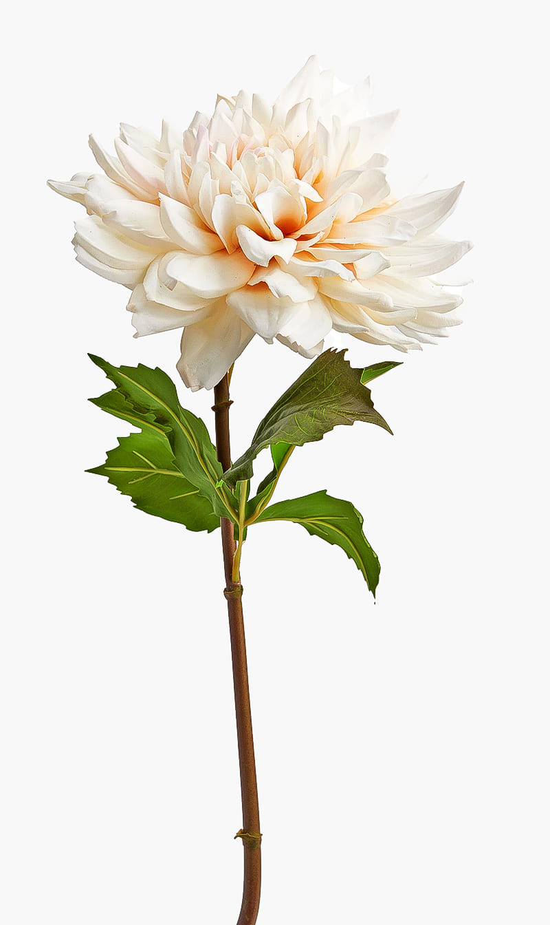 

Silk-ka White Dahlia Stem | The Deal Outlet