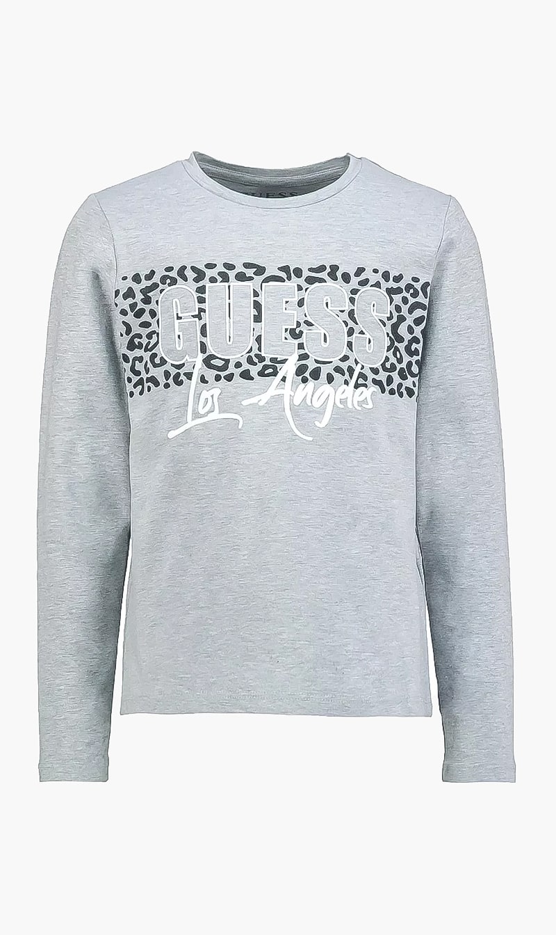 

Crew Neck Logo Tshirt, Grey