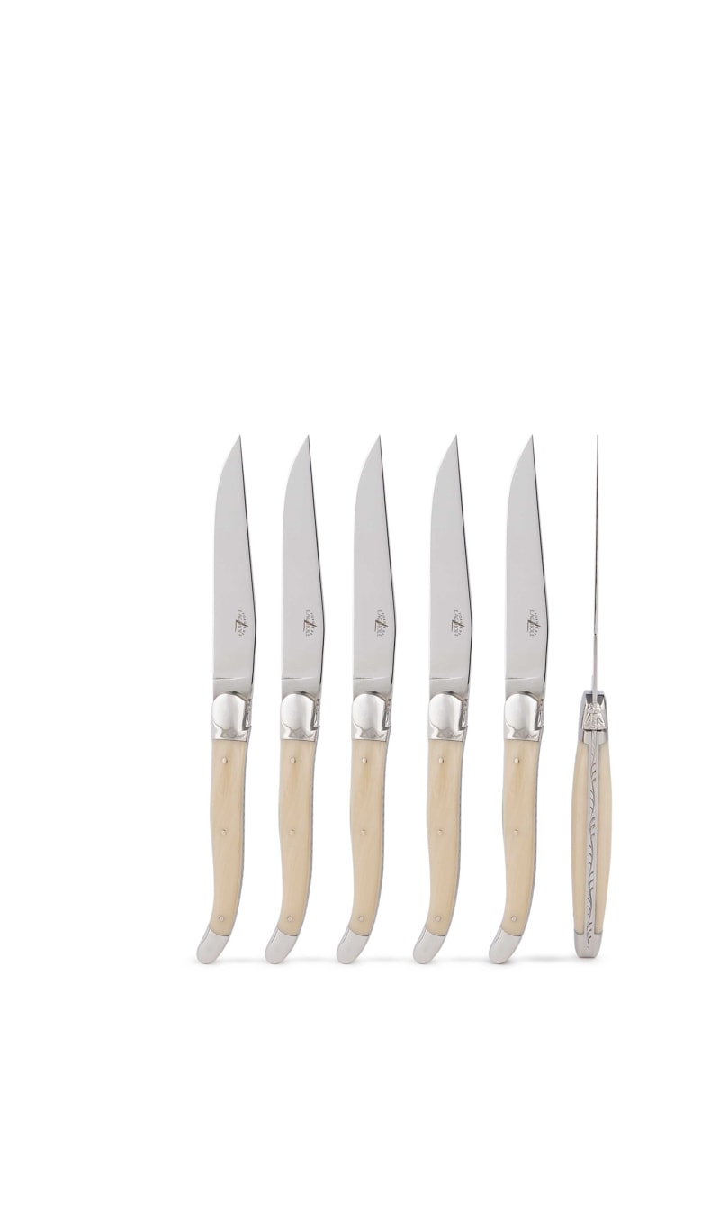 

Forge De Laguiole Brown Set Of 6 - Acrylic Handle Table Knives | The Deal Outlet